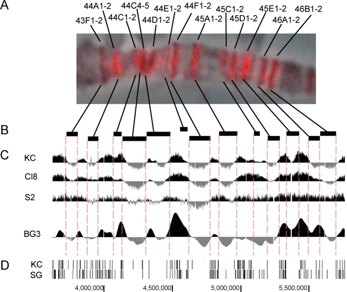 Fig 4