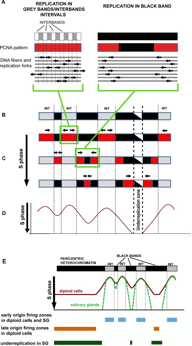 Fig 8