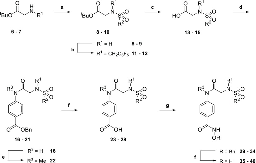 Scheme 1