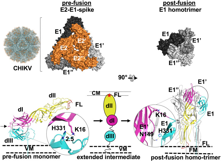 FIG 1