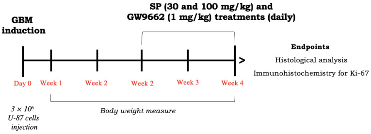 Scheme 3