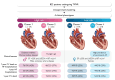 Graphical Abstract