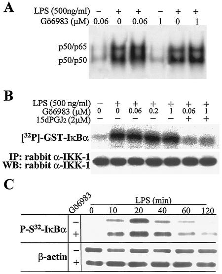 FIG. 6.