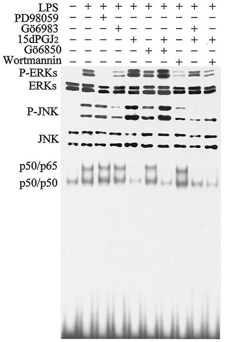 FIG. 5.