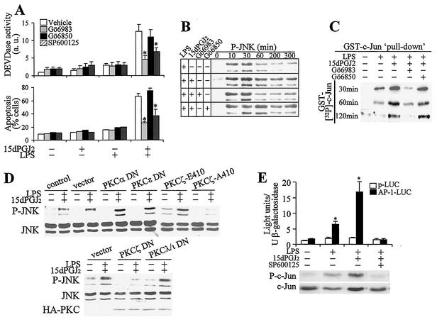 FIG. 8.