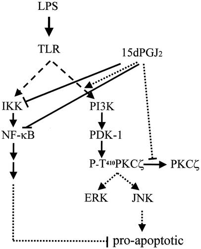 FIG. 10.