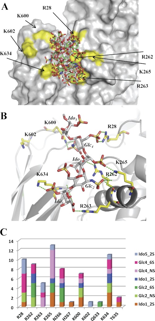 FIGURE 5.