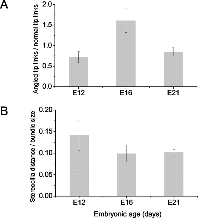 Figure 12.