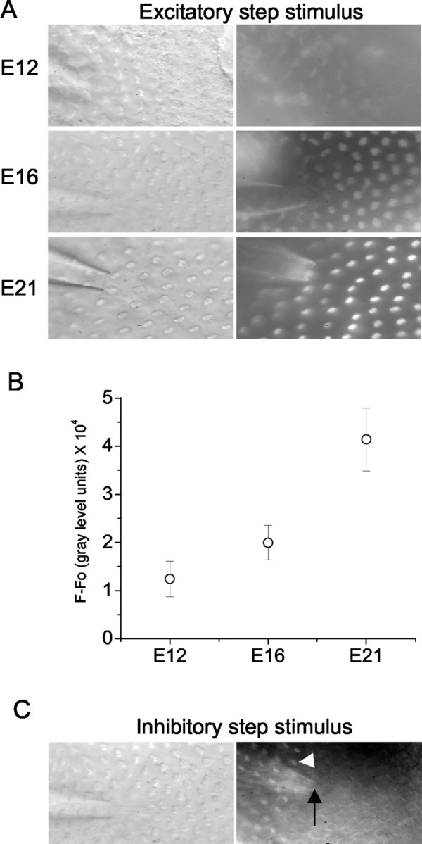 Figure 9.