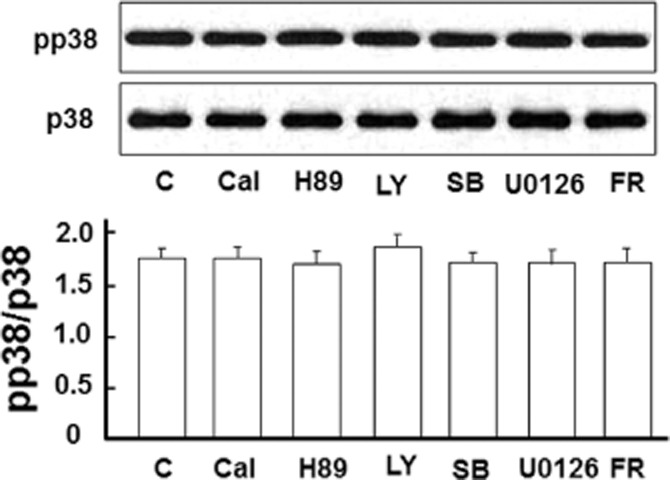 Figure 14