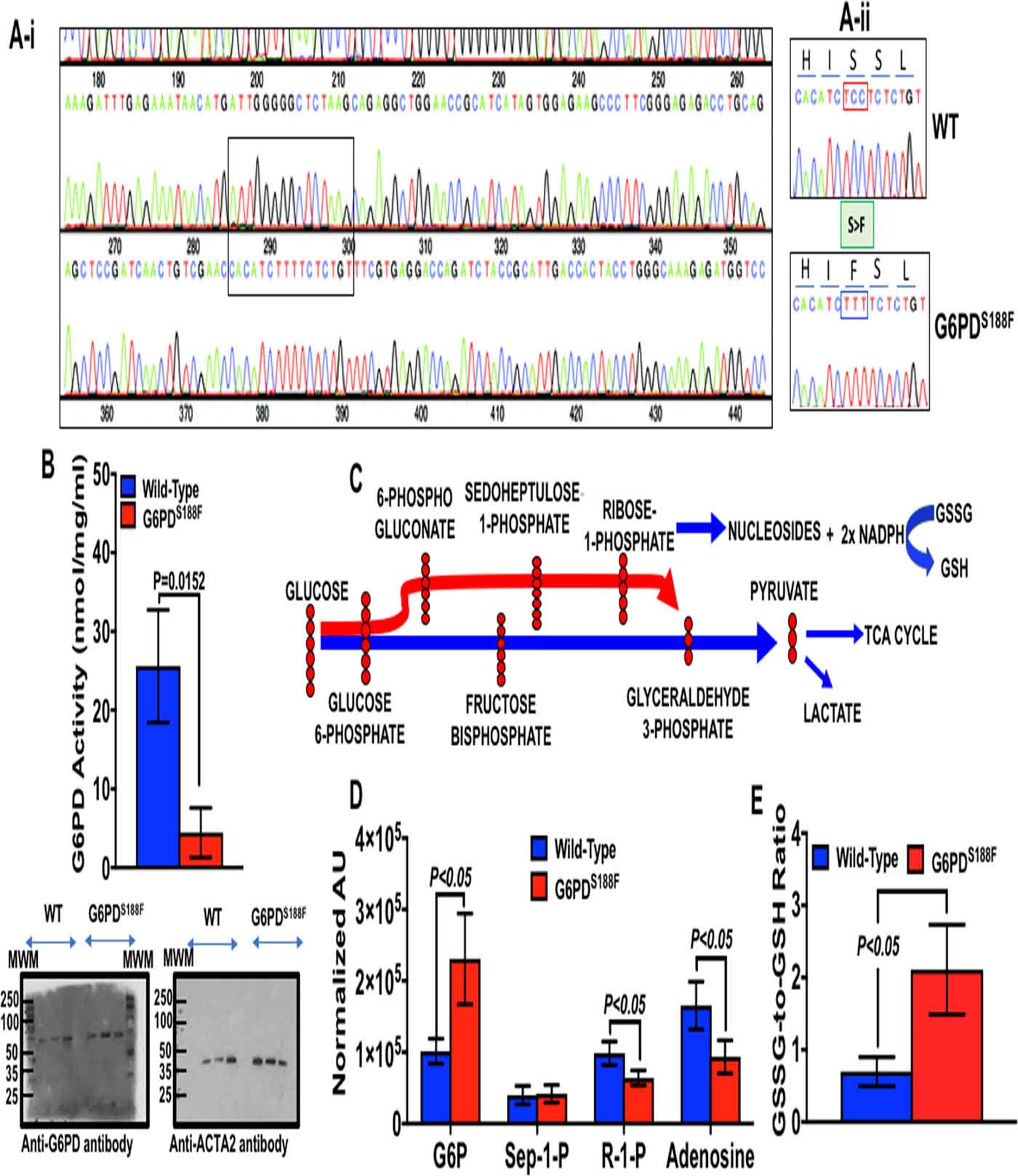 Figure 1: