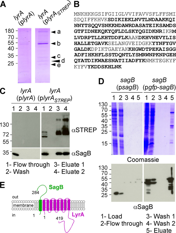 FIG 1