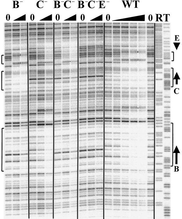 FIG. 7