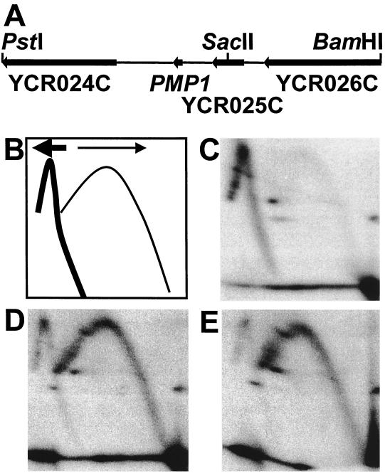 FIG. 8