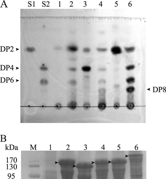 Fig 5