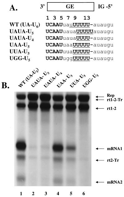 FIG. 5