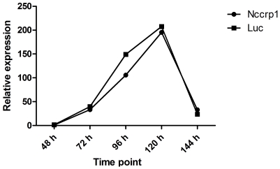 Figure 13