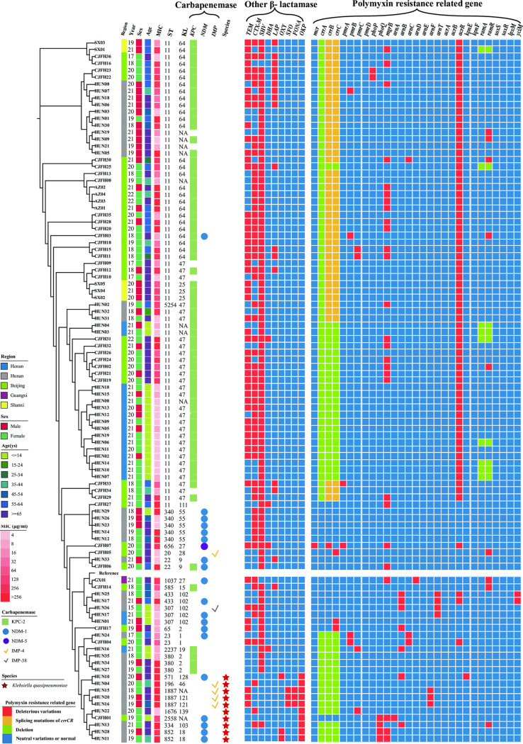 FIG 3