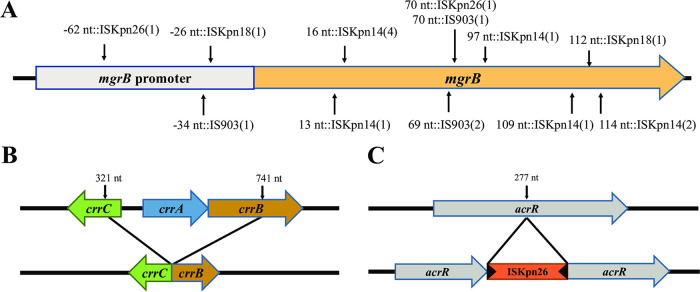 FIG 5