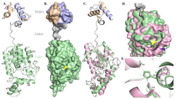 Figure 3: