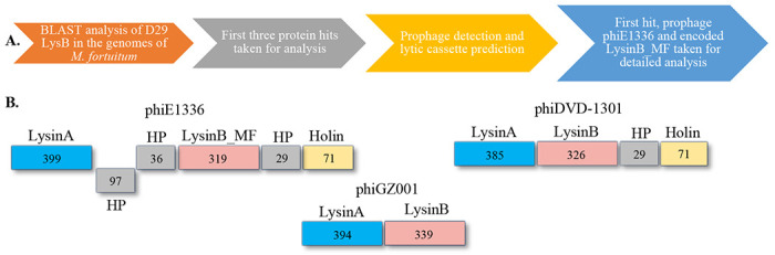 Figure 1: