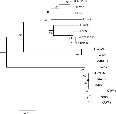 FIG. 1.