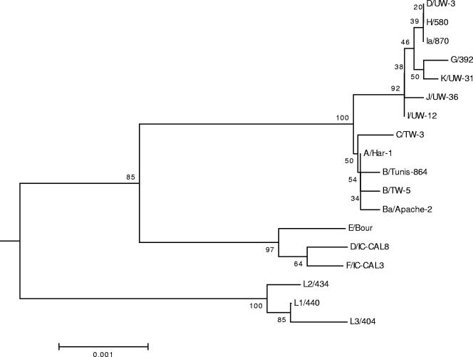 FIG. 2.