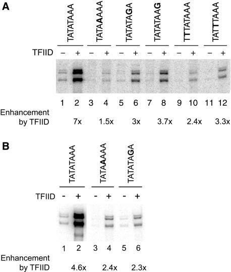 Figure 6.