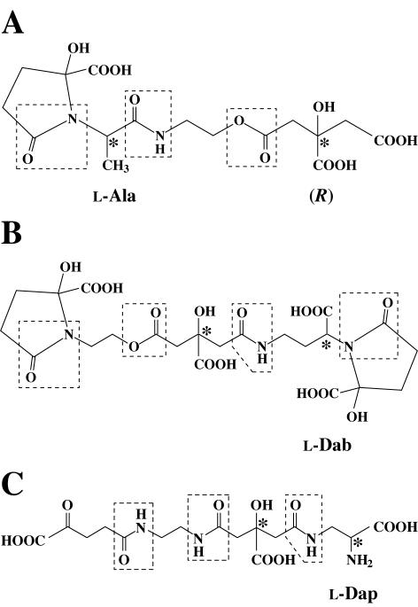 FIG. 8.