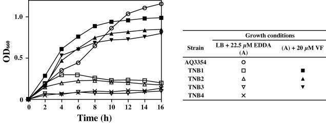 FIG. 7.