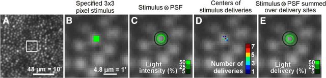 Figure 2.