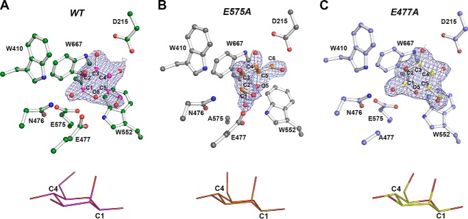 Figure 6.