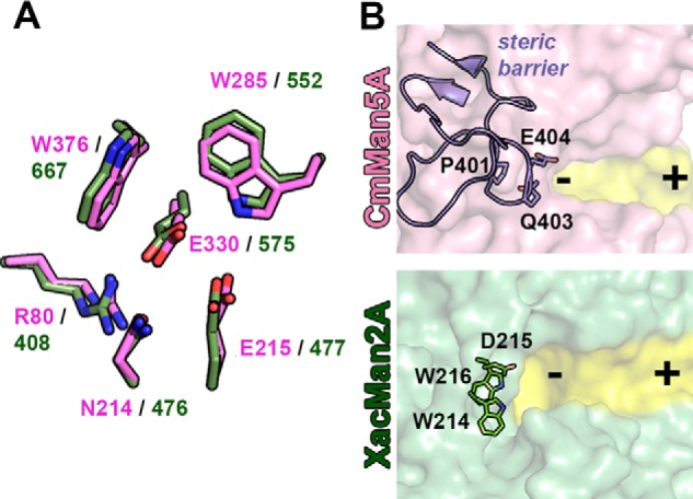 Figure 10.