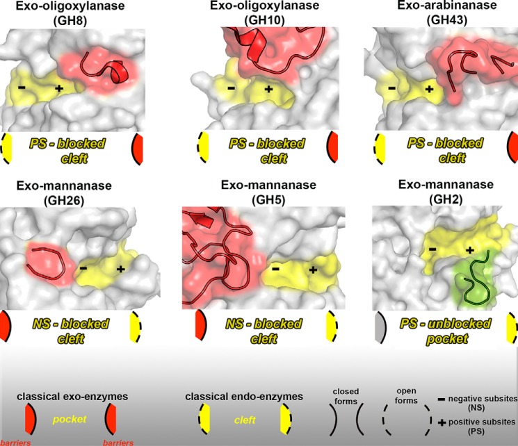 Figure 11.