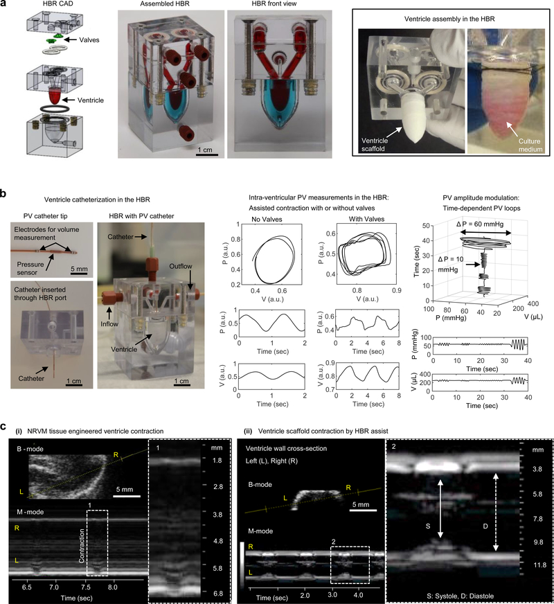 Figure 4|