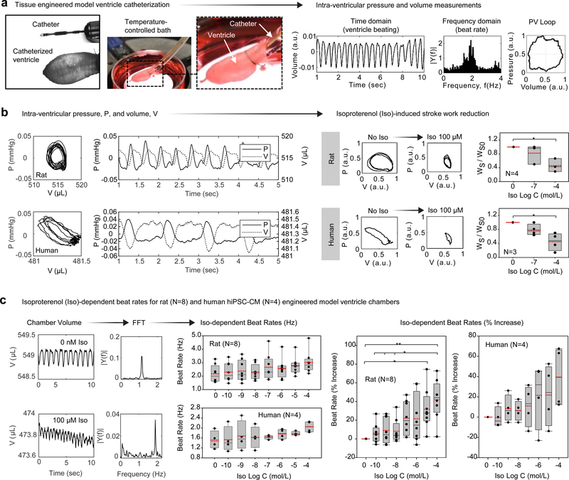 Figure 3|