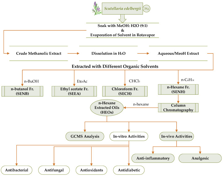 Figure 13