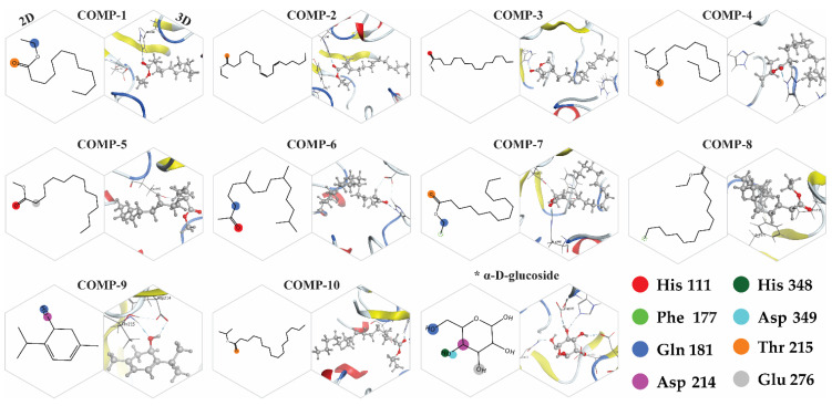 Figure 12