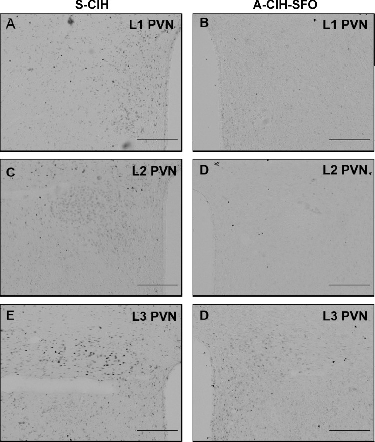 Fig. 10.