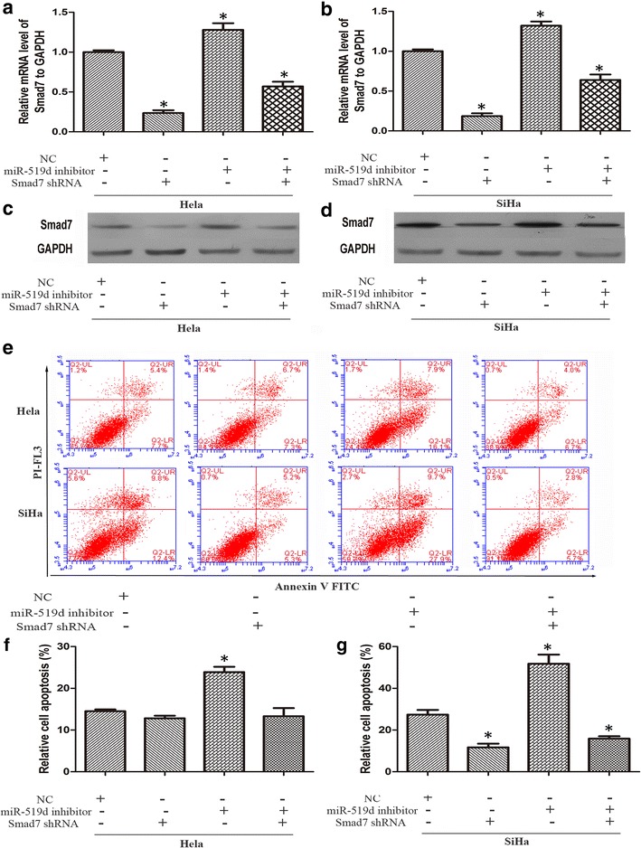 Fig. 4