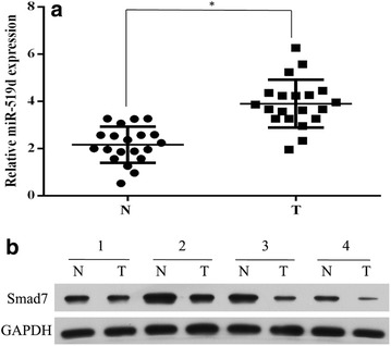 Fig. 7