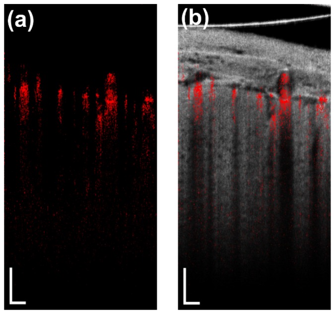 Fig. 8