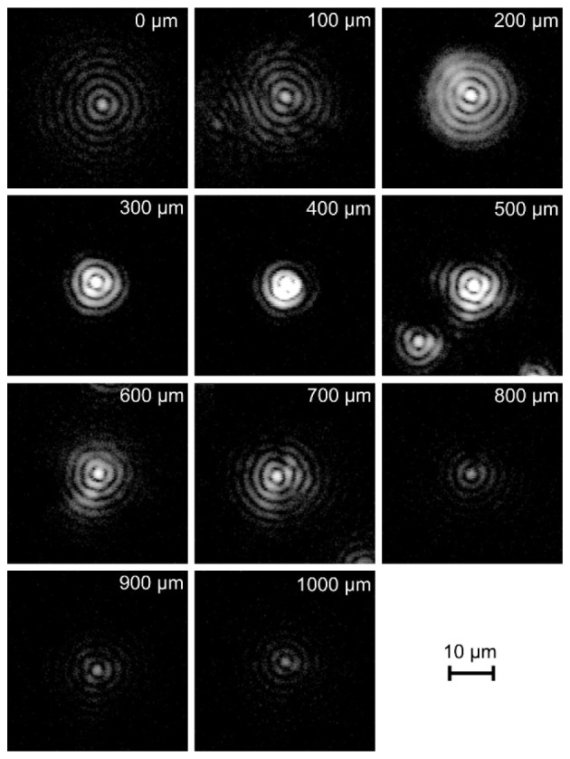 Fig. 3