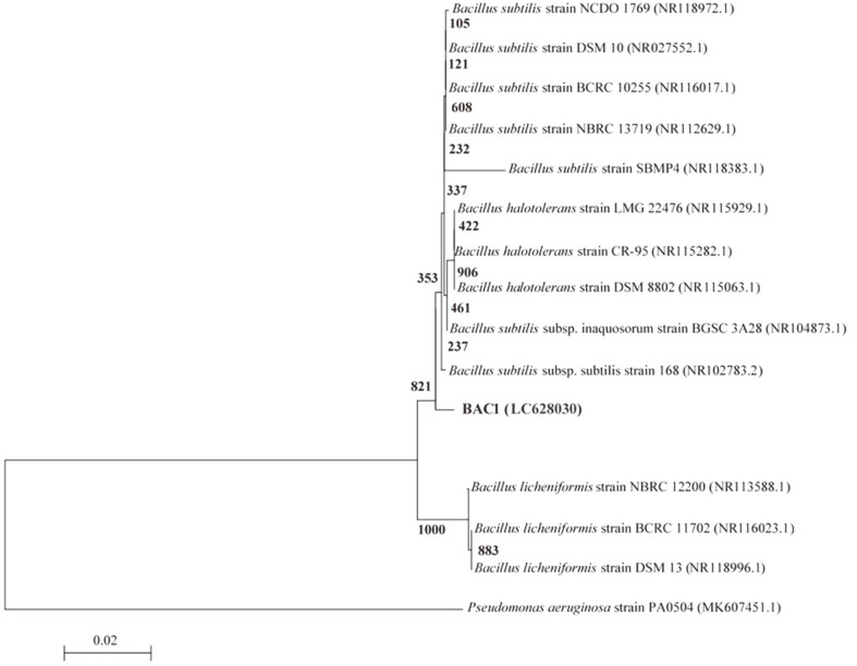 Fig. 5B