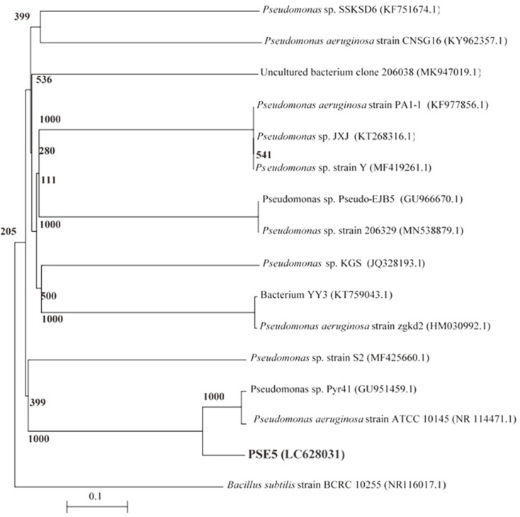 Fig. 5C