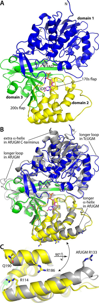 Figure 2