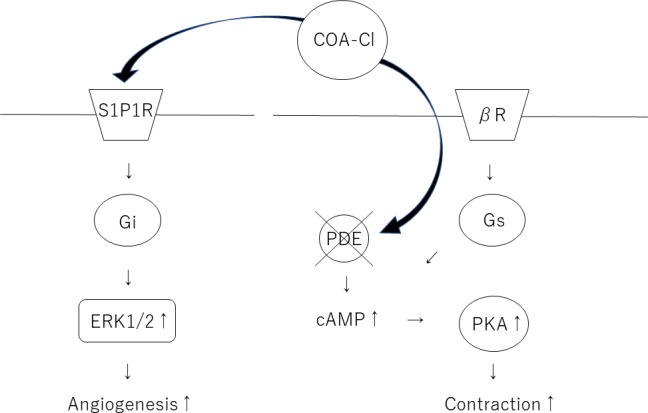 Fig 9