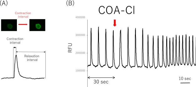 Fig 5