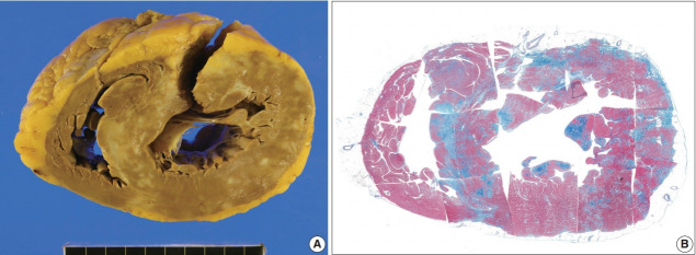 Fig. 7.