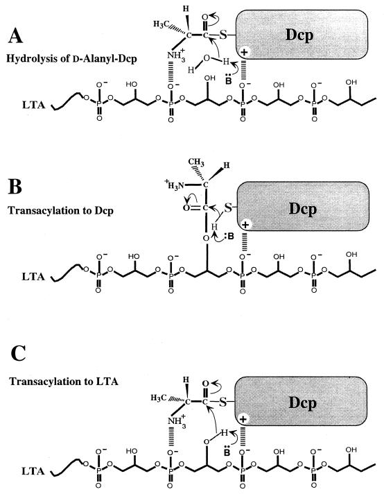 FIG. 9